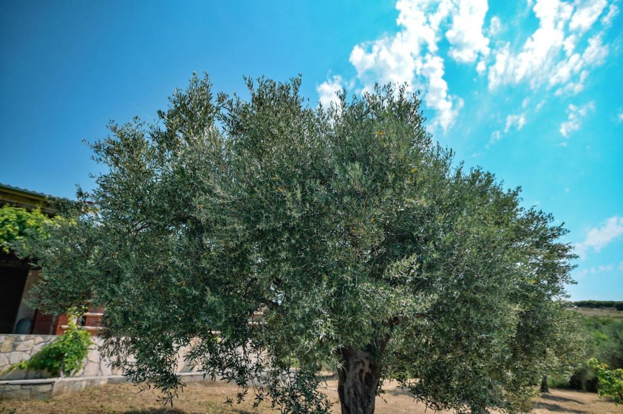 Villa Aiolos Dedeağaç Dış mekan fotoğraf